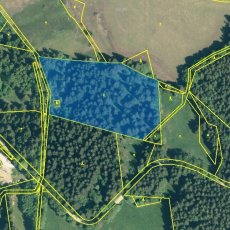 Prodej lesa s výměrou 13934m2 v KÚ Černá Lada, v obci Borová Lada, okr. Prachatice