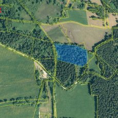 Prodej lesa s výměrou 13934m2 v KÚ Černá Lada, v obci Borová Lada, okr. Prachatice