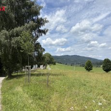 Prodej pozemku v obci Želnava o výměře 5030 m2