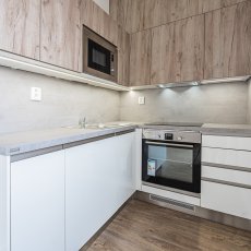 Pronájem bytu 1+kk, 46 m2 s terasou
