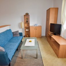 Pronájem zařízeného bytu 1+kk v osobním vlastnictí, 33m2, České Budějovice