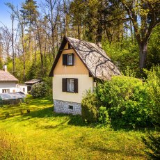 Borovnice - prodej rekreační chaty s pozemkem 341 m2