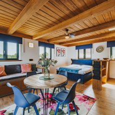 Pronájem bytu C1,1+kk 42 m2, Frymburk