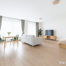 Pronájem nového bytu 1+kk, 55 m2 s balkonem, České Budějovice