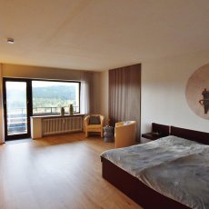 Prodej apartmánu 1+1 do OV v Haidmühle / SRN