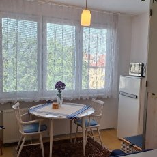 prodej bytu 1+1 ve 3.patře zděného domu s výtahem, 42m2, Strakonice