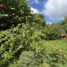 Prodej zahrady 290 m2, ve Vimperku okr. Prachatice