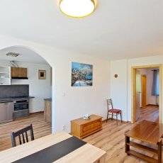 Dlouhodobý pronájem bytu 2+1 se zahradou k rekreačním účelům, Horní Planá