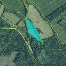 Pozemek v jednom celku s výměrou 14292 m2 v KÚ Strašín u Sušice, okr. Klatovy