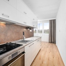 3+1 Pražské předměstí – prodej prostorného bytu s balkonem poblíž centra města