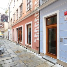 Pronájem bytu 2+1, České Budějovice 1 - centrum města, Plachého ulice