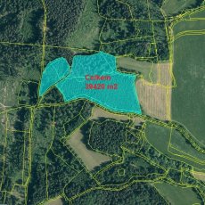 Prodej souboru pozemků s celkovou výměrou 39420 m2 v KÚ Výškovice u Vimperka, okr. Prachatice