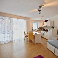 Pronájem 3+kk se zahradou a terasou u lesa – Vyšný, Český Krumlov