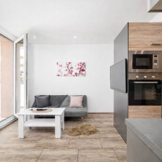 Vodňanská ul.- prodej částečně rekonstruovaného bytu 1+1 s lodžií