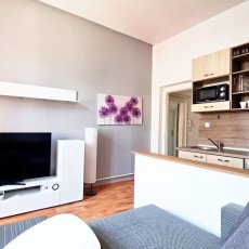 Pronájem zařízeného bytu 2+kk