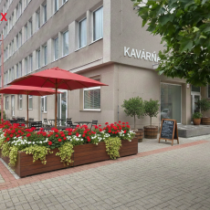 Pronájem rekonstruovaného komerčního prostoru 252 m2 v blízkosti centra, Žižkova tř.