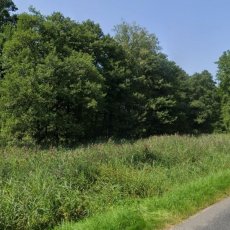 Prodej pozemku - zeleň