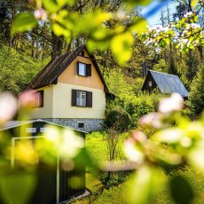 Borovnice - prodej rekreační chaty s pozemkem 341 m2