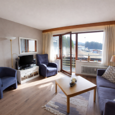 Prodej apartmánu 1+kk 38m2 + garážové stání do OV na německé straně Šumavy v Haidmühle