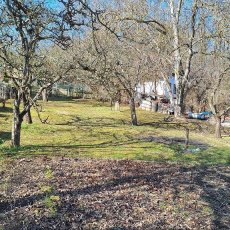 zahrada-559m2, možnost stavby chaty, elektřina - Strakonice