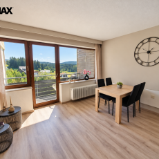 Prodej apartmánu 1+kk 38m2 + garážové stání do OV na německé straně Šumavy v Haidmühle