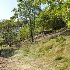 Prodej zahrádky Vimperk, výměra od 422m2. Vimperk, okr. Prachatice