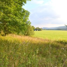 Pozemek o výměře 8040 m2, KÚ Paseka u Borových Lad, obec Borová Lada, okr. Prachatice