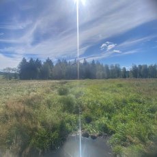 Prodej lesního pozemku v jednom celku o výměře 29205 m2, Borová Lada, okr. Prachatice