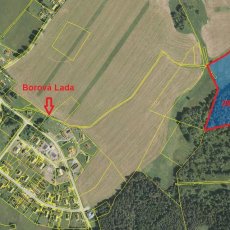Prodej lesního pozemku o výměře 29205 m2, Borová Lada, okr. Prachatice