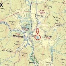 Prodej lesního pozemku v jednom celku o výměře 29205 m2, Borová Lada, okr. Prachatice