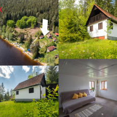 Prodej chaty 50 m od Lipna, zast. pl. 34 m2, obec Frymburk- Milná, Lojzovy Paseky