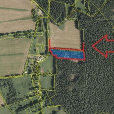 Prodej lesa v KÚ Černá Lada, 10.565 m2, okr. Prachatice