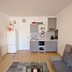 Pronájem garsonky, sídl. Vltava, Labská ulice