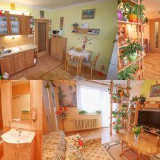 Pronájem bytu 2+kk s balkonem, 37 m2, ul. Branišovská