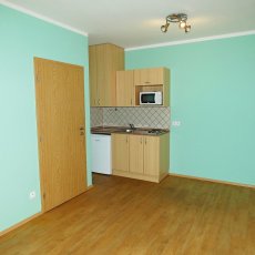 Pronájem bytu 1+kk, 21 m2, A.Trägera, Č.Budějovice