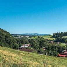 Prodej pozemku  3 261m2, Červená u Letohradu