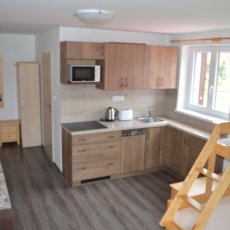 Prodej garsoniéry s lodžií v obci Nová Pec, výměra 26 m2, OV, Lipno